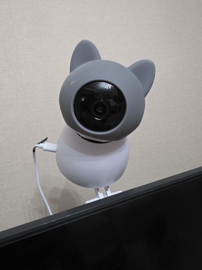 헤이홈 pro+5mp 내돈내산 리뷰 중 카메라 이미지