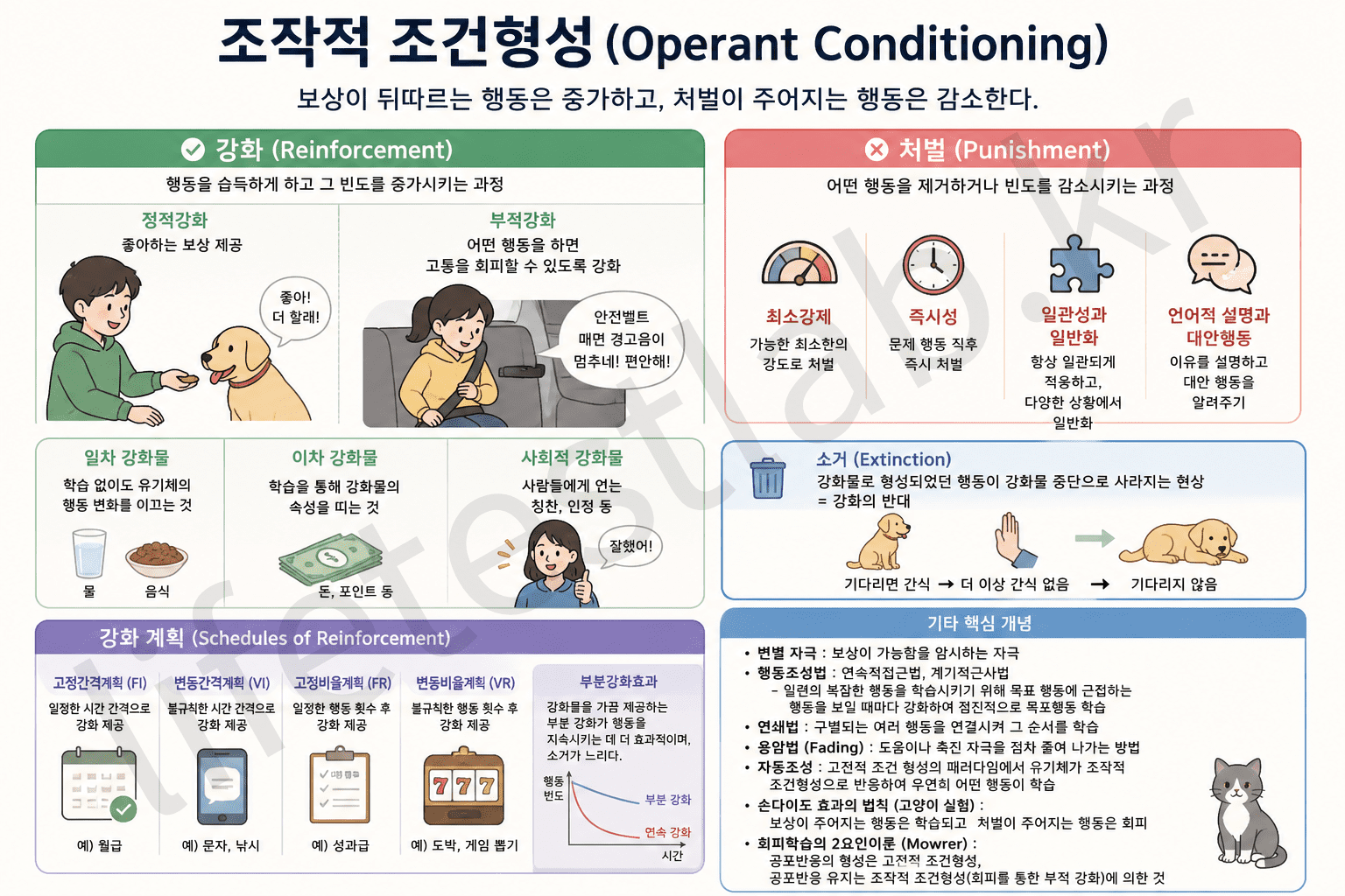 조작적 조건형성 개념을 총망라한 이미지
